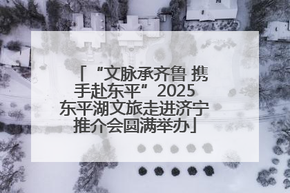 “文脉承齐鲁 携手赴东平”2025东平湖文旅走进济宁推介会圆满举办