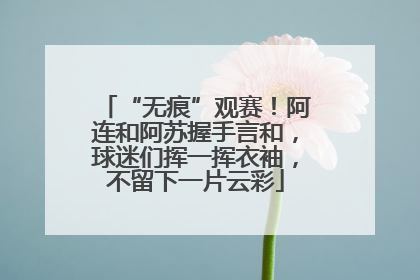 “无痕”观赛！阿连和阿苏握手言和，球迷们挥一挥衣袖，不留下一片云彩