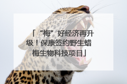 “梅”好经济再升级！保康签约野生蜡梅生物科技项目