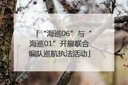 “海巡06”与“海巡01”开展联合编队巡航执法活动