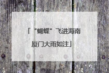 “蝴蝶”飞进海南 厦门大雨如注
