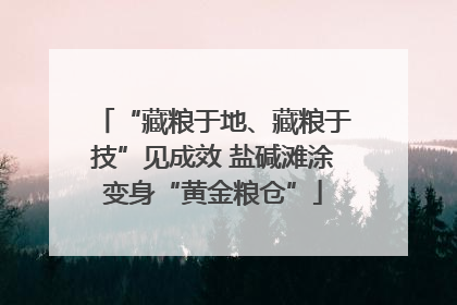 “藏粮于地、藏粮于技”见成效 盐碱滩涂变身“黄金粮仓”