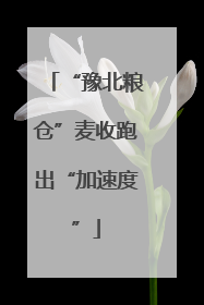 “豫北粮仓”麦收跑出“加速度”