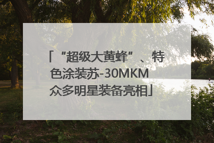 “超级大黄蜂”、特色涂装苏-30MKM 众多明星装备亮相