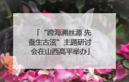 “跨海溯丝源 先蚕生古泫”主题研讨会在山西高平举办