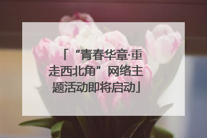 “青春华章·重走西北角”网络主题活动即将启动