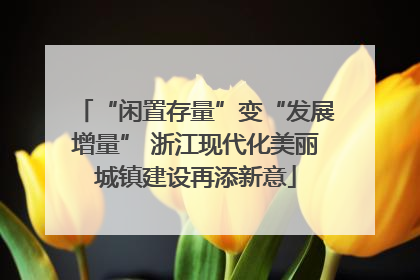 “闲置存量”变“发展增量” 浙江现代化美丽城镇建设再添新意