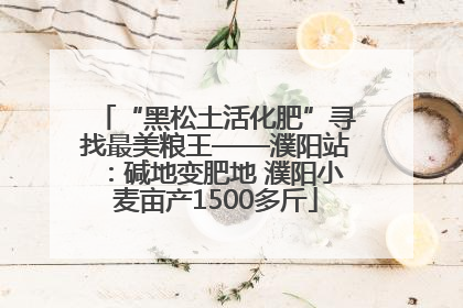 “黑松土活化肥”寻找最美粮王——濮阳站：碱地变肥地 濮阳小麦亩产1500多斤