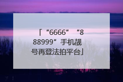 “6666”“888999”手机靓号再登法拍平台