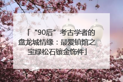“90后”考古学者的盘龙城情缘：最爱镇馆之宝绿松石镶金饰件