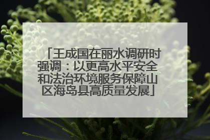 王成国在丽水调研时强调：以更高水平安全和法治环境服务保障山区海岛县高质量发展