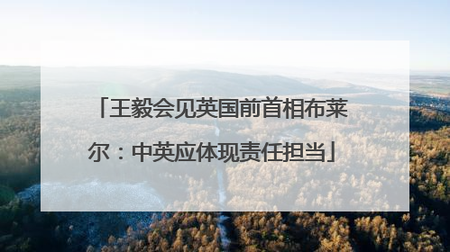 王毅会见英国前首相布莱尔：中英应体现责任担当