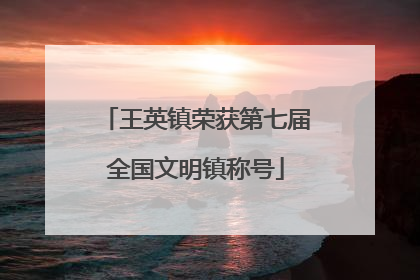 王英镇荣获第七届全国文明镇称号