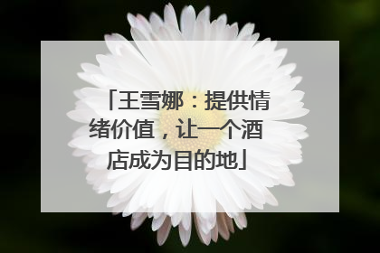 王雪娜：提供情绪价值，让一个酒店成为目的地