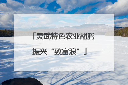 灵武特色农业翻腾振兴“致富浪”