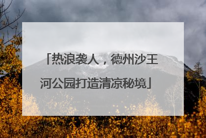 热浪袭人，德州沙王河公园打造清凉秘境