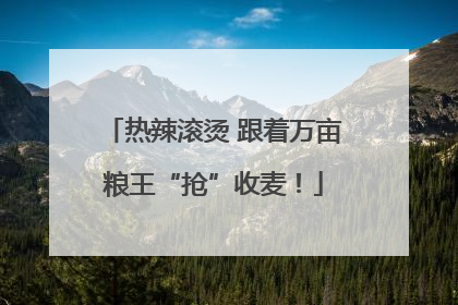 热辣滚烫 跟着万亩粮王“抢”收麦！