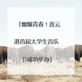 燃爆青春！连云港首届大学生音乐节成功举办
