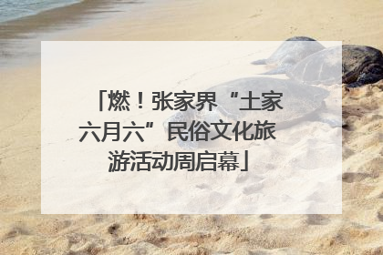 燃！张家界“土家六月六”民俗文化旅游活动周启幕