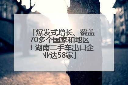 爆发式增长、覆盖70多个国家和地区！湖南二手车出口企业达58家