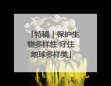 特稿｜保护生物多样性 守住地球多样美