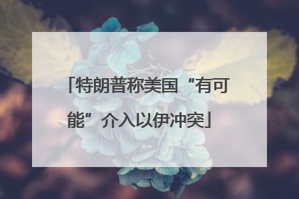 特朗普称美国“有可能”介入以伊冲突