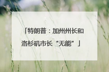 特朗普：加州州长和洛杉矶市长“无能”