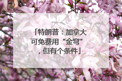 特朗普：加拿大可免费用“金穹”，但有个条件