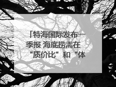 特海国际发布一季报 海底捞需在“质价比”和“体验感”中找到平衡｜新经济观察