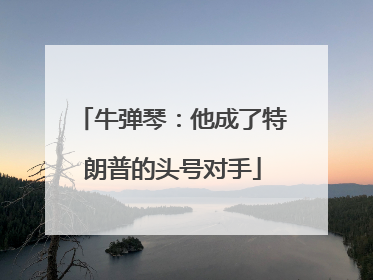 牛弹琴：他成了特朗普的头号对手