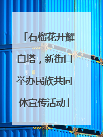 石榴花开耀白塔，新街口举办民族共同体宣传活动