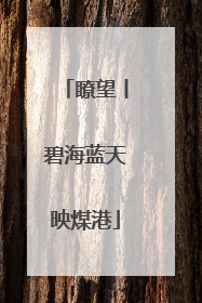 瞭望丨碧海蓝天映煤港