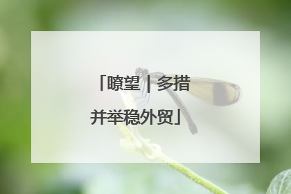 瞭望｜多措并举稳外贸