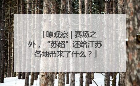 瞭观察 | 赛场之外，“苏超”还给江苏各地带来了什么？