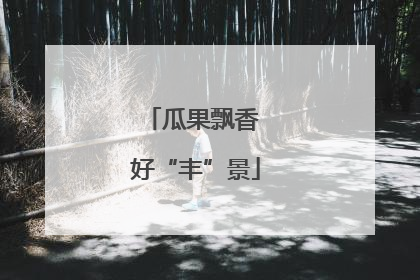 瓜果飘香 好“丰”景