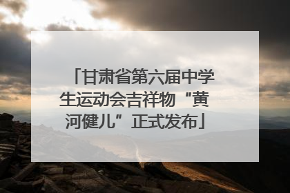甘肃省第六届中学生运动会吉祥物“黄河健儿”正式发布