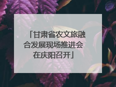 甘肃省农文旅融合发展现场推进会在庆阳召开
