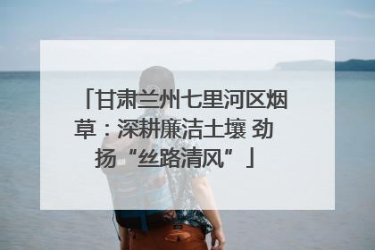 甘肃兰州七里河区烟草：深耕廉洁土壤 劲扬“丝路清风”