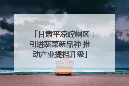 甘肃平凉崆峒区：引进蔬菜新品种 推动产业提档升级