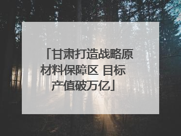 甘肃打造战略原材料保障区 目标产值破万亿