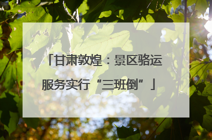 甘肃敦煌：景区骆运服务实行“三班倒”