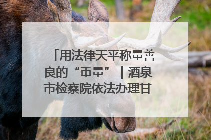用法律天平称量善良的“重量”｜酒泉市检察院依法办理甘肃首例社区矫正对象见义勇为减刑案