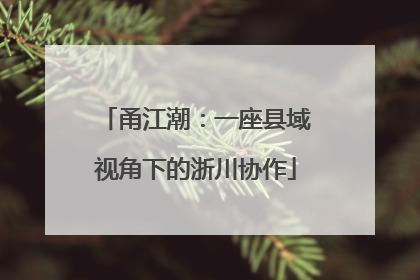 甬江潮：一座县域视角下的浙川协作