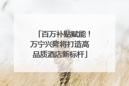 百万补贴赋能！万宁兴隆将打造高品质酒店新标杆
