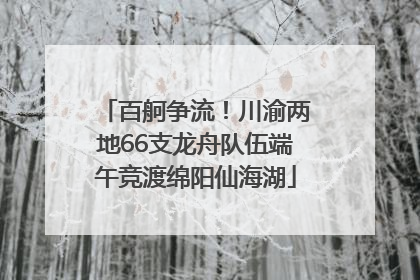 百舸争流！川渝两地66支龙舟队伍端午竞渡绵阳仙海湖