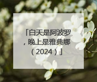白天是阿波罗，晚上是雅典娜（2024）