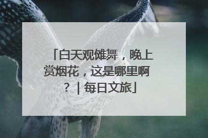 白天观傩舞，晚上赏烟花，这是哪里啊？｜每日文旅