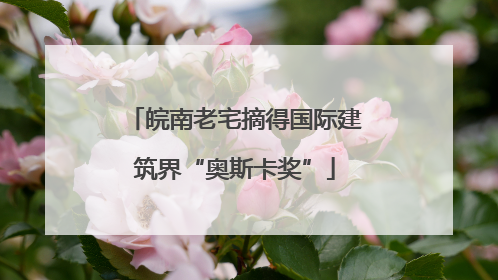 皖南老宅摘得国际建筑界“奥斯卡奖”