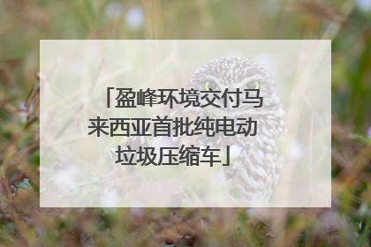 盈峰环境交付马来西亚首批纯电动垃圾压缩车