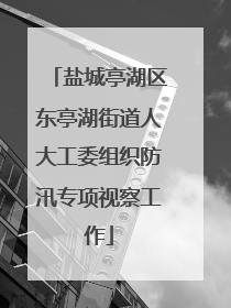 盐城亭湖区东亭湖街道人大工委组织防汛专项视察工作